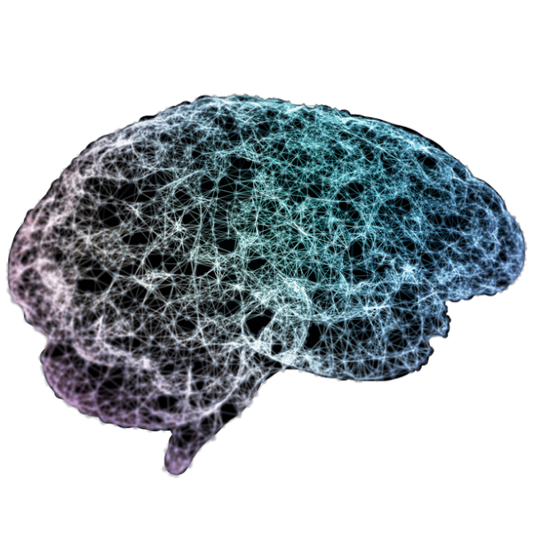 brain-mapping